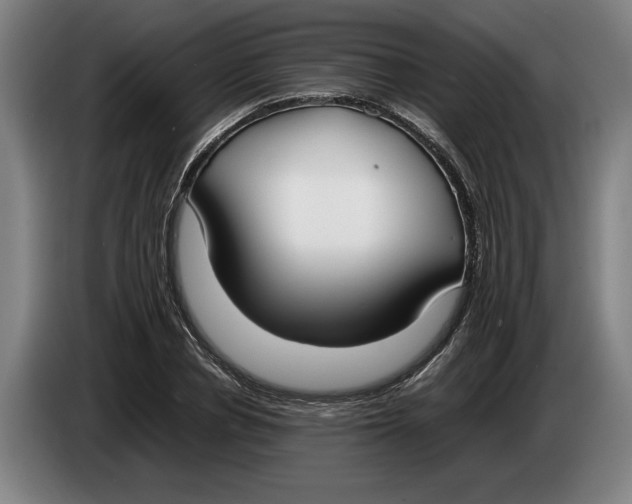 X0000086310834200704202001