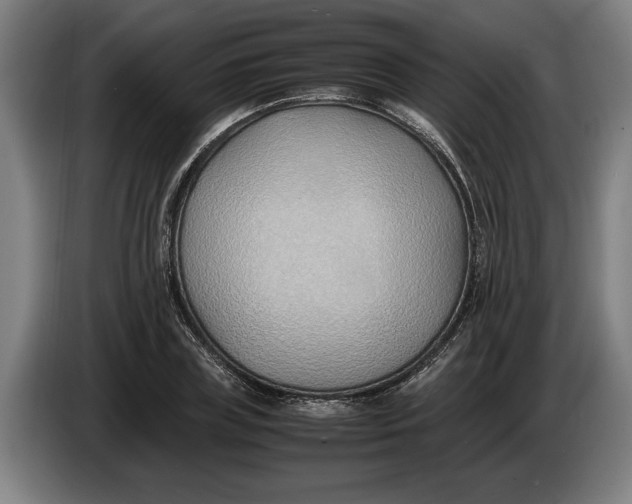 X0000086310835200704202001