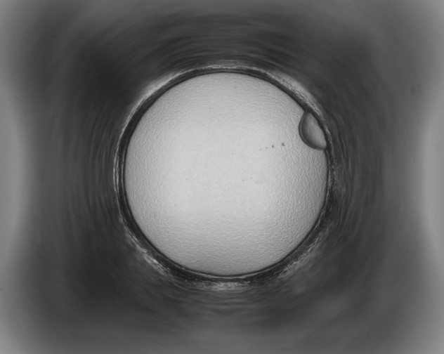 X0000086310839200704202001