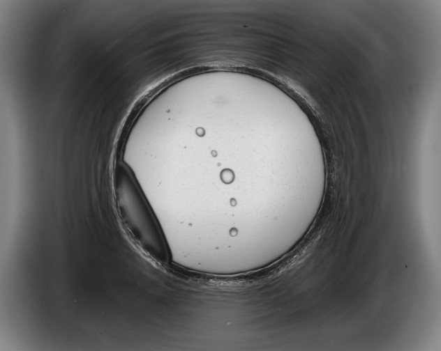 X0000086310840200704202001