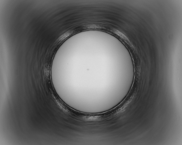 X0000086310841200704202001