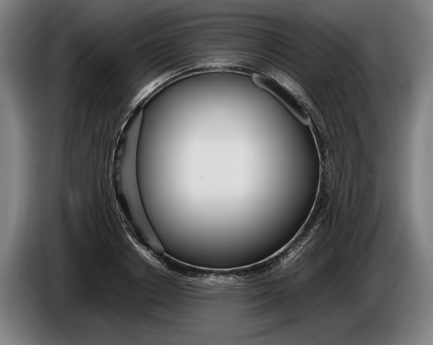X0000086310842200704202001