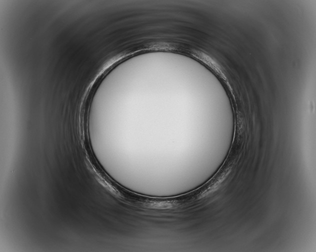 X0000086310843200704202001