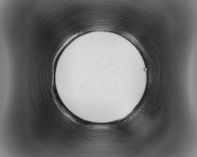 X0000086310844200704202001