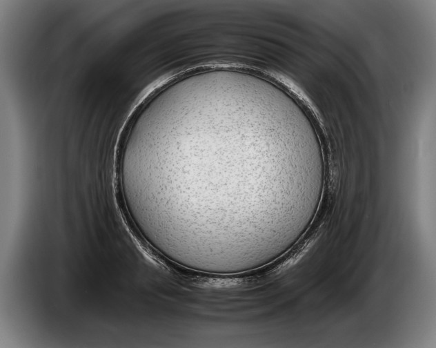 X0000086310845200704202001