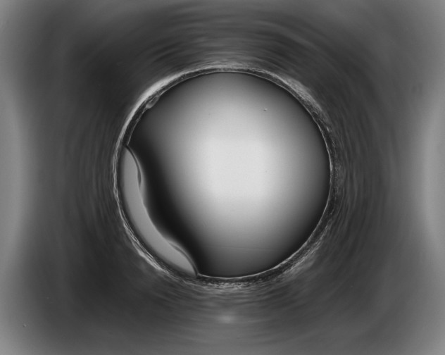 X0000086310846200704202001