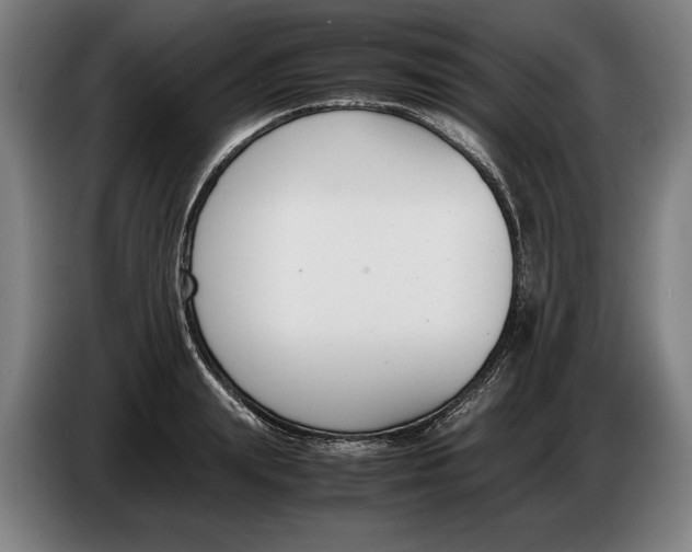 X0000086310847200704202001