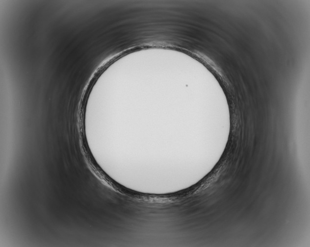 X0000086310848200704202001