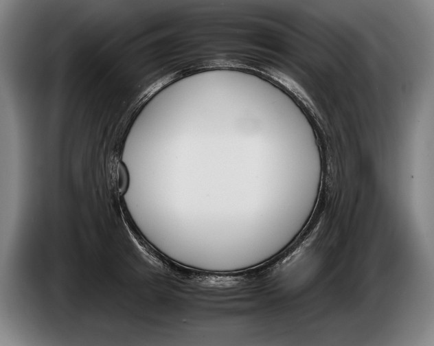 X0000086310849200704202001