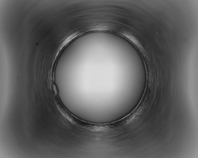 X0000086310850200704202001