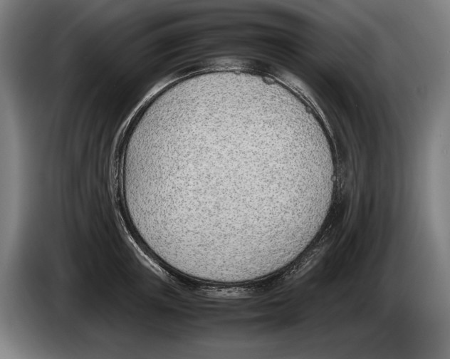 X0000086310851200704202001