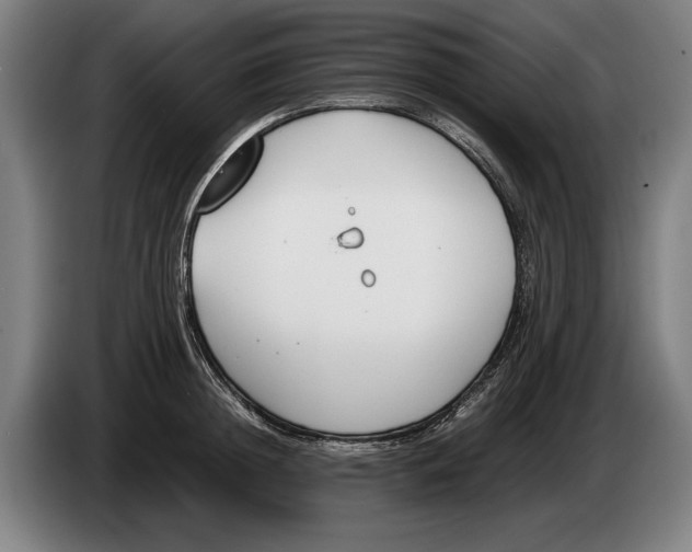 X0000086310852200704202001