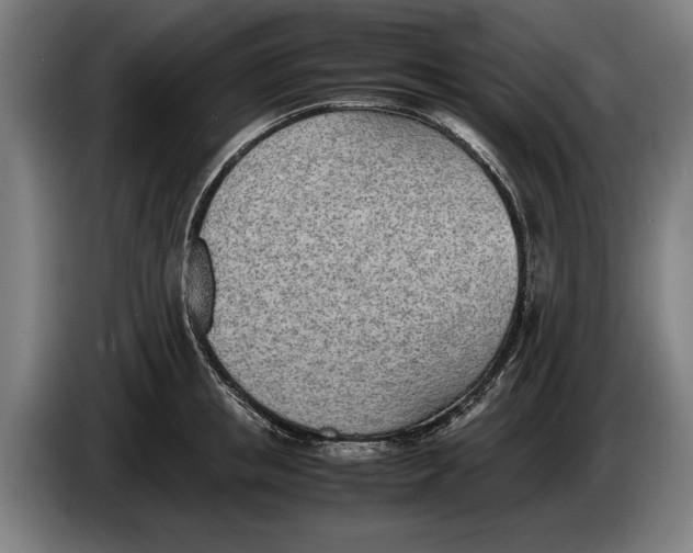 X0000086310853200704202001