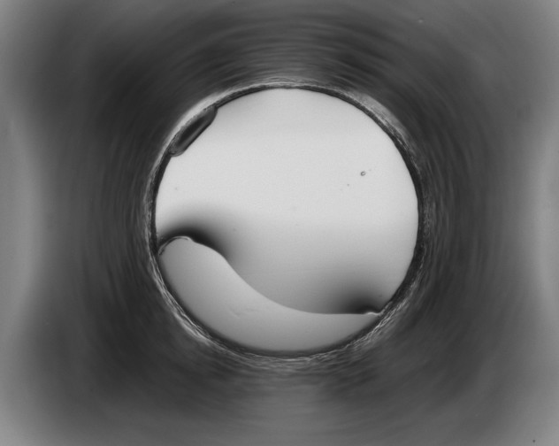 X0000086310854200704202001