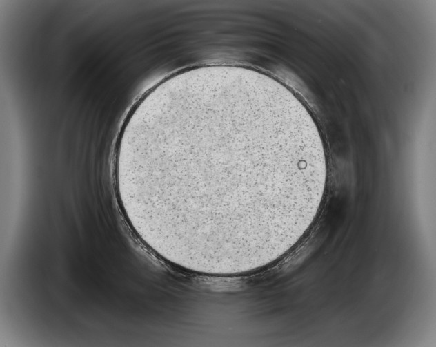 X0000086310856200704202001
