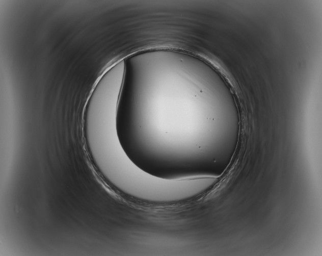 X0000086310858200704202001