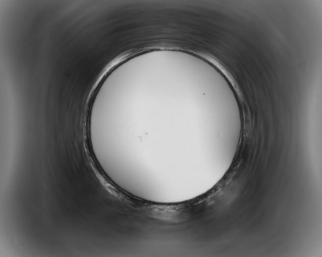 X0000086310861200704202001
