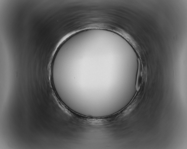 X0000086310862200704202001