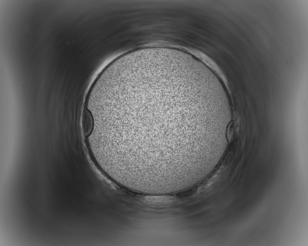 X0000086310863200704202001