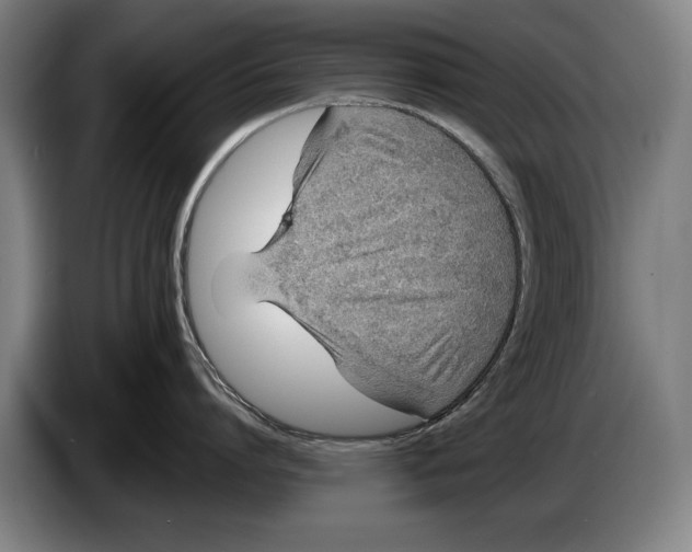 X0000086310864200704202001