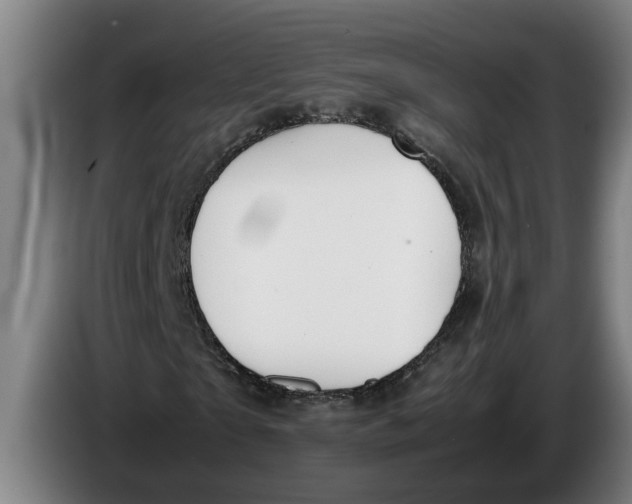 X0000086310865200704202000