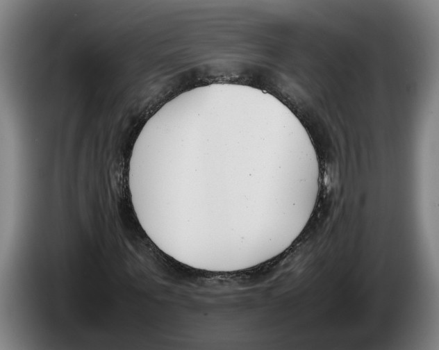 X0000086310867200704202000