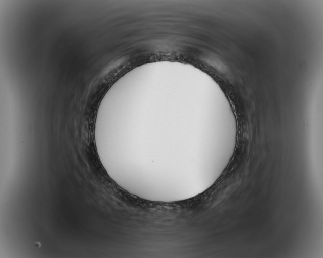 X0000086310869200704202000