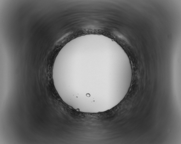 X0000086310870200704202000