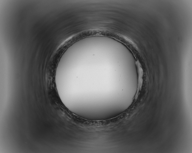 X0000086310872200704202000
