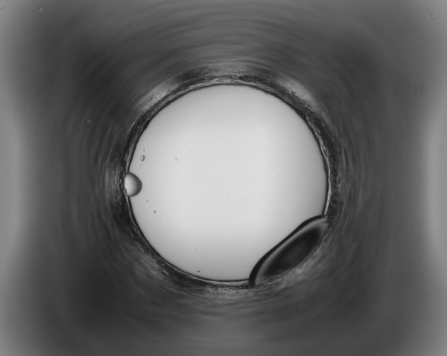 X0000086310873200704202000