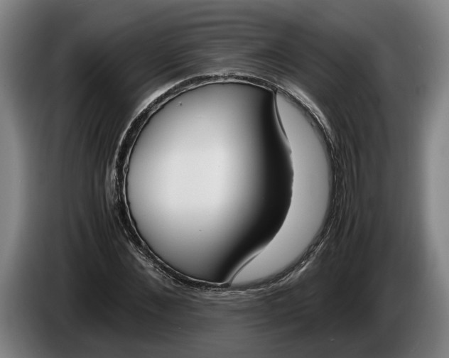 X0000086310876200704202000
