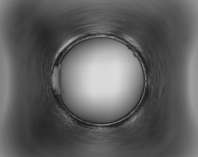 X0000086310877200704202000