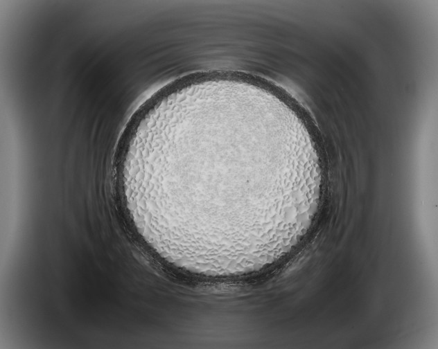 X0000086310879200704202000