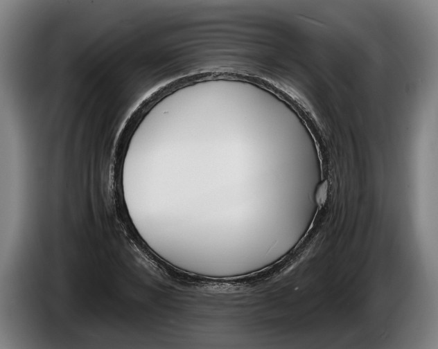 X0000086310880200704202000