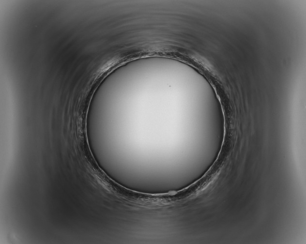 X0000086310881200704202000