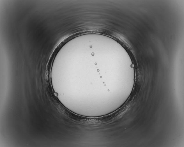 X0000086310883200704202000