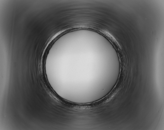 X0000086310884200704202000