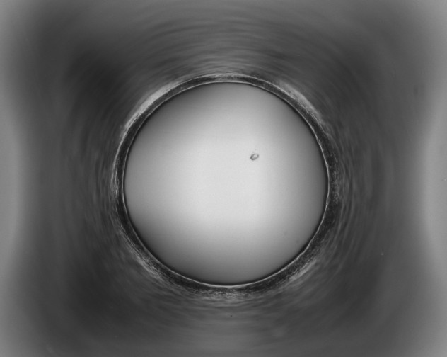 X0000086310885200704202000