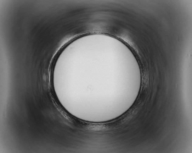 X0000086310886200704202000