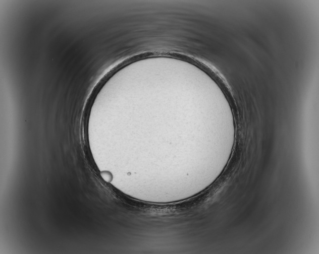 X0000086310887200704202000
