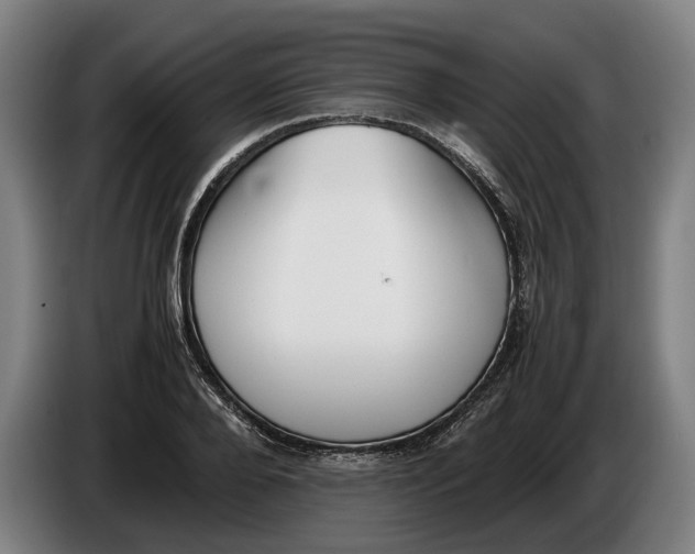 X0000086310888200704202000