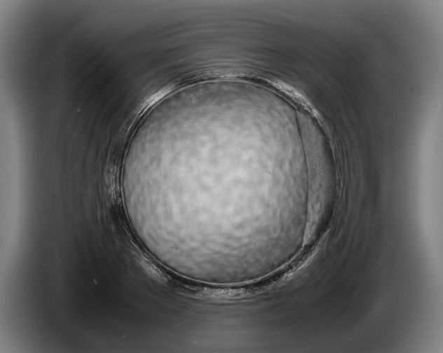 X0000086310889200704202000