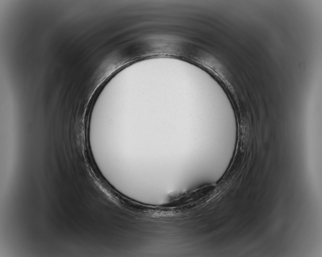 X0000086310890200704202000