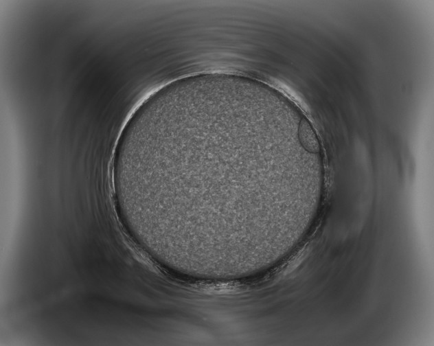X0000086310891200704202000