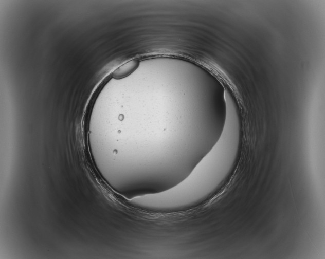 X0000086310892200704202000