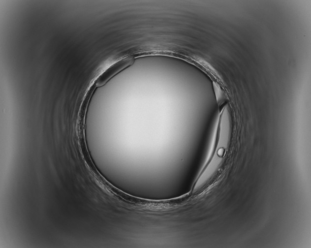 X0000086310893200704202000
