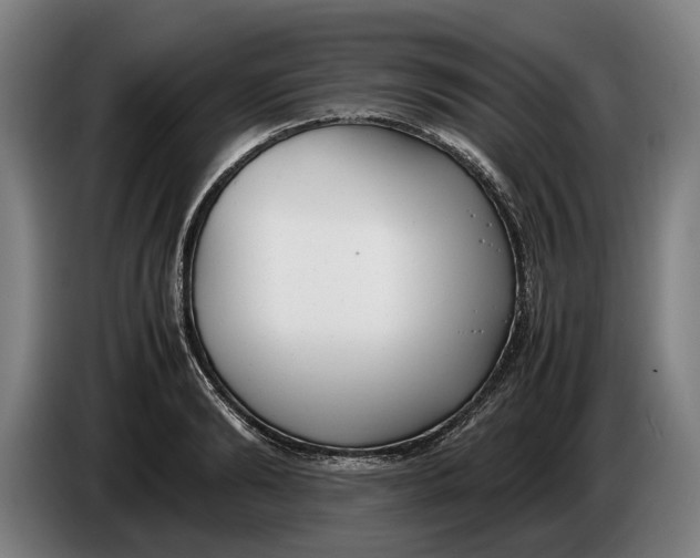X0000086310894200704202000
