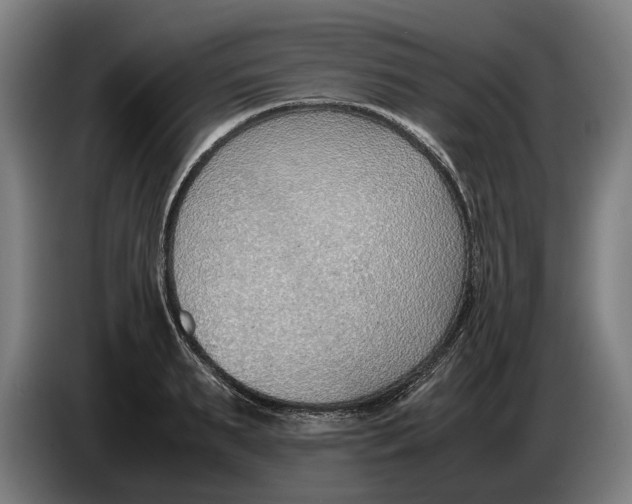 X0000086310895200704202000