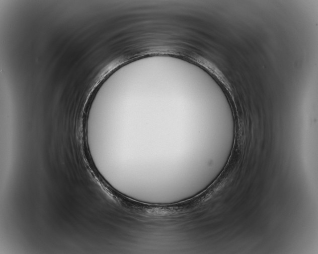 X0000086310898200704202000
