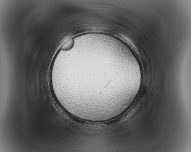 X0000086310899200704202000